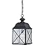 Hanging Lantern