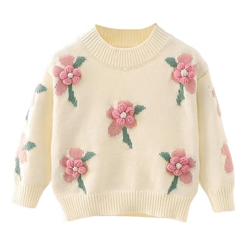 Toddler Infant Knit Sweaters Long Sleeve Floral Embroidery Crew Neck Pullover Sweatshirt Baby Soft Warm Fall Winter Clothes