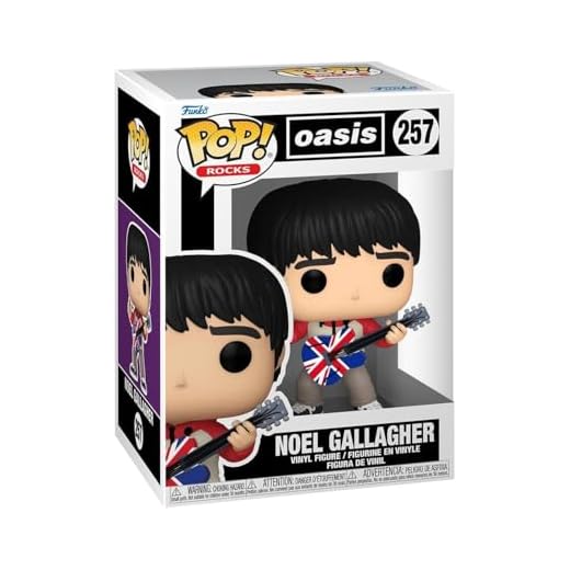 Funko Pop! Rocks: Oasis - Noel Gallagher - Figura de Vinilo Coleccionable - Idea de Regalo- Mercancia Oficial - Juguetes para Niños y Adultos - Music Fans - Muñeco para Coleccionistas y Exposición