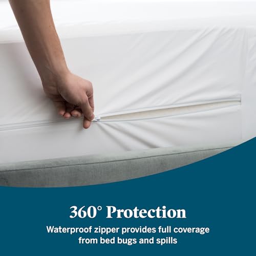 Recopilación de Protectores de almohada favoritos de las personas. 24 Protectores de almohada marca LUCID (3)