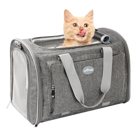 LPOTIUS Foldable Cat Carrier Soft-Sided Pet Carrier for Small Dogs and Large Medium Cats, Airline Approved Travel Dog Carriers with Curtain, Pocket, Safety Leash and Cushion Pad, Gray Cover