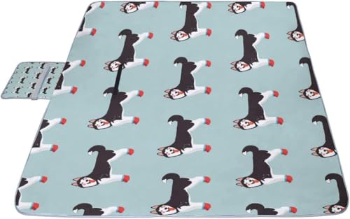 W[V[g 킢 nXL[ sNjbN ܂肽  AEghA NbV }bg RpNg Ԍ ^ Lv  ԉΑ K zc  唻 145x150cm ^ѕ֗