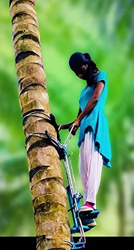 Heavy Duty Coconut Tree Climbing Machine | Palmyra | Palm Tree Climbing Tool | Stainless Steel Standing Type | 100% Safe