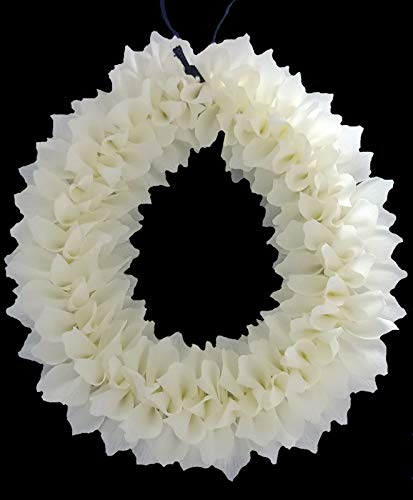 SR Marketing- Artificial Flower for Indian Classical Dance Like Bharathanatiyam and Kuchipudi ext. Colour Half-White (Model Sangu Poo halfwhite)