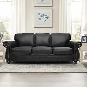 Mid-Century Vintage Sofa Couches wi...
