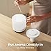 Homvana Small Humidifiers for Bedroom - 2 Packs 1.5L Cool Mist Top Fill Humidifier for Baby Nursery, Essential Oil Diffuser, 3 in 1 for Home Plants Offices and Grow Tents, 7 Color Lights, Ultrasonic