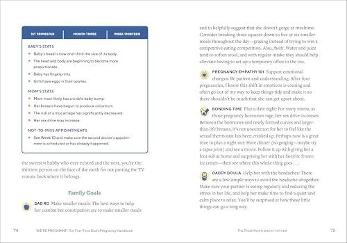 First Time Dad's Pregnancy Handbook 3 First Time Dad's Pregnancy Handbook - Image 3