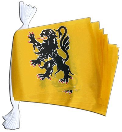 Guirlande drapeau France Nord Pas de Calais Digni de 5,9 m avec fanions