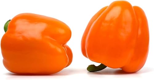 Miniatura 4 de Orange Sun - Semillas de pimiento dulce para plantar, más de 100 semillas tradicionales por paquete, semillas de jardín de Isla (semillas de jardín