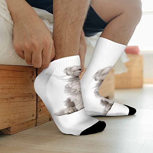 Image of Pehede Socks Mens Fun Dress Socks for Women Funny Novelty Crazy Design Socks