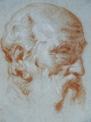 Tableaux peinture sur toile SERENDIPITP impression d'art étude du buste de Giulio Contarini 60x90cm