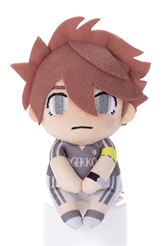 CiY}Cu AX̓V 肳  In ʂ 13cm
