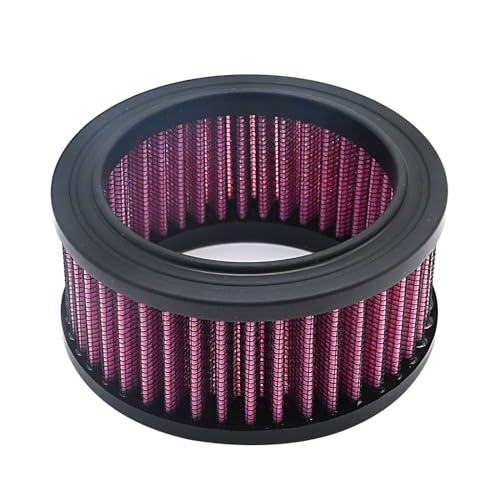 Anxingo Motorcycle Air Cleaner Intake Motorcycle Air Filter Replacement for Harley Sportster X48 XL883 XL1200 2004-2018