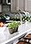 Keter Ivy Herbs Plastic Planter, 3-Pot Shape, Taupe, 13"