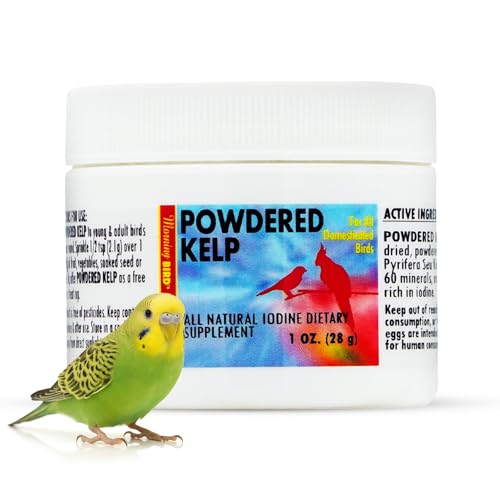 Morning Bird Powdered Kelp for Birds 1 Oz – Natural Iodine Supplement Supports Thyroid, Feather Health & Breathing – Multivitamin with Amino Acids, Minerals & Energy Boost for All Birds