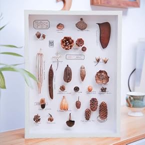 ay⭐︎⭐︎＊・オールブラック・エンボス・ディスプレーBOX ブライツ(車) BRIGHTZ ノア 80 85 超鏡面ステンレスブラック