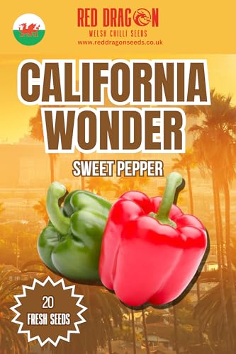 California Wonder Sweet Pepper Seeds | Classic Bell Pepper Variety | Large Blocky Sweet Peppers | Easy to Grow Vegetable Seeds