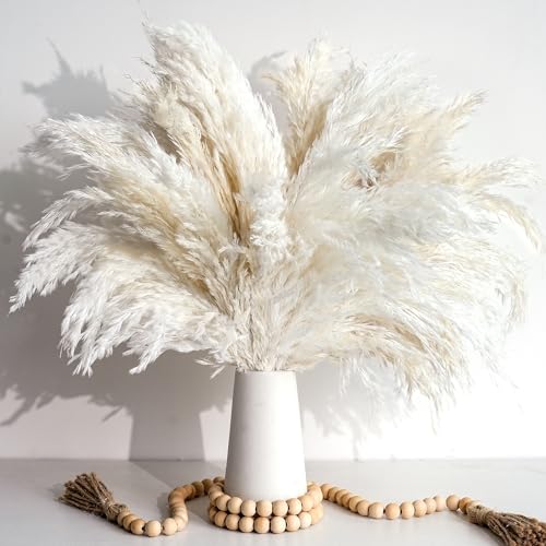 20 Weiß Pampasgras Deko – Ästhetische Vasen und Vintage Landhausstil...