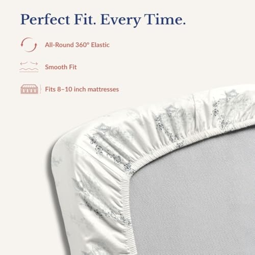 Image of Jaipur Weaves 100% Cotton 240 TC Printed Elastic Fitted Bedsheets King Size with 2 Pillow Covers, 72 x 78 inches (Garden Blue, Super King Fitted, Pack of 1)