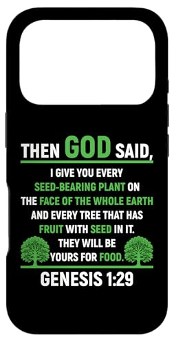 �n���L1:29���� �X�}�z�P�[�X iPhone 17 Pro �p