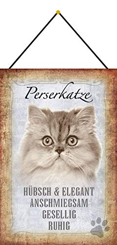 Tin Sign 20 x 30 cm Curved with Cord Persian Cat Decorative Gift Sign