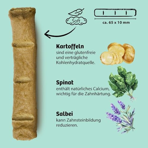 BugBell 60g Knabbersticks DentalShine - Soft Hundeleckerli mit sehr wenig Fett - Mundgeruch & Zahnstein mit Pfefferminze - Vegane Dental Sticks Hund mit Kartoffel, Chlorella & Salbei
