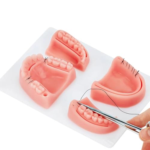 Image of Oral Suture Training Pad Set with 4 Dental Suture Pads for Dentical Nurse Suture Training。Dental Suture Practice Pad for Practic on Soft Gum Teeth。Dental Suture Pad，Gifts for Medical Students