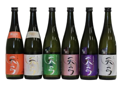 [流通限定品] 東の麓 天弓飲み比べセット 720ml×6本セット 『東の麓酒造』 日本酒 山形県 南陽市 [996]
