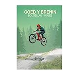 Steve Ash illustration