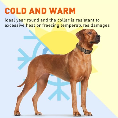 Image of Dogline Biothane Waterproof Dog Collar Strong Coated Nylon Webbing with Black Hardware Odor- Proof for Easy Care Easy to Clean High Performance Fits Small Medium or Large Dogs, Dark Chocolate Brown