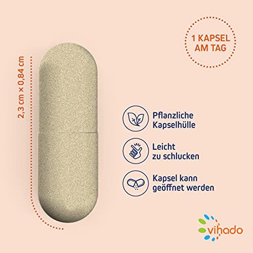 Vihado Multivitamin – Vitamine A-Z und Multimineral-Komplex – 26 Vitamine und Mineralstoffe hochdosiert – Nahrungsergänzungsmittel mit Q10, Zink und Tagetes Erecta – 1 Kapsel/Tag, 60 Kapseln