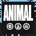 ANIMAL Flex Comprehensive Joint Care - 4 einzigartige Komplexe für Gelenke, Knochen & Knorpel - mit Vitamin A & E, Glucosamin, Leinsamenöl & Hyaluronsäure - 44 Packungen