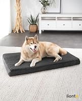 lionto Orthopädisches Hundebett mit Memory-Schaum, 112 x 81 x 8 cm, Schwarz – Ansicht 2