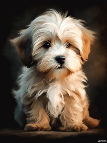 Kit peinture diamant 5D YEEIFFD motif chien havanais pour exprimer votre amour des animaux