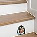3Pcs 3D Realistic Mouse Wall Stickers, Mouse Reading Book Wall Decals Wall Decor, Removable Wall Art Murals for Living Room Nursery Bedroom Kids Room Home Wall Decorations Tools and Home Improvement