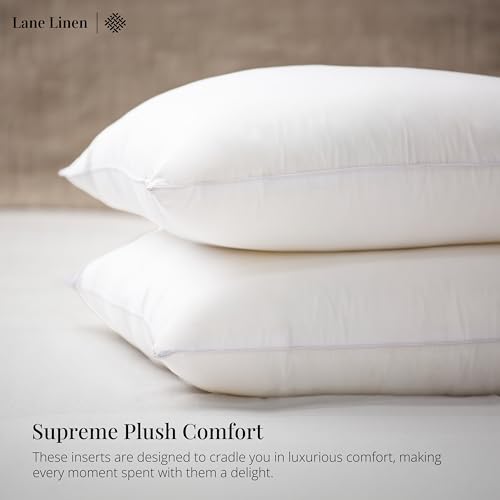 LANE LINEN 12x20 – Pack of 2 White, for Sofa and Bed, Fluffy Inserts for Throw Pillow Covers, Ideal as Throw Pillows for Bed, Couch and Outdoor Settings