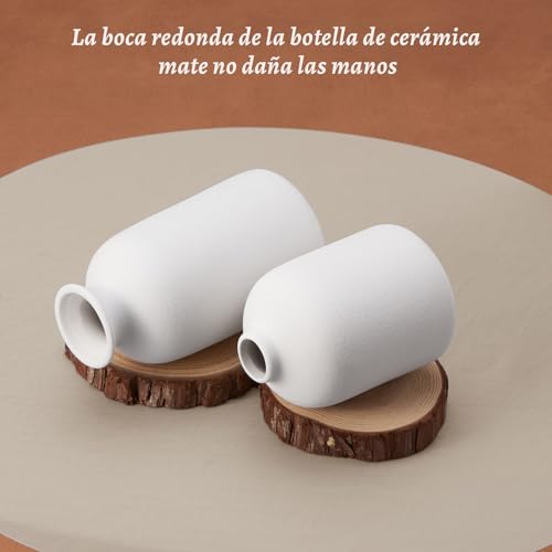 Opiniones de Florero los 10 mejores. 21 Imagen adicional