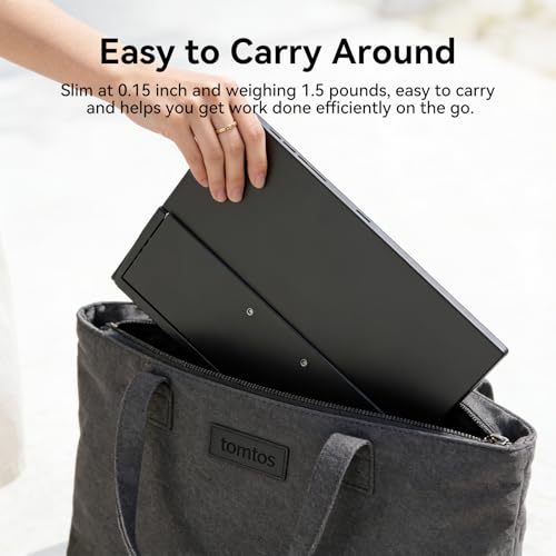 Image of 15.6 Inch Portable Monitor,HD+ 1920x1080 Resolution, 16:9 IPS Display,100% sRGB,Travel Second Screen for Laptop, Smartphone, Gaming Console (Type-C /HDMI) (15.6 inch)