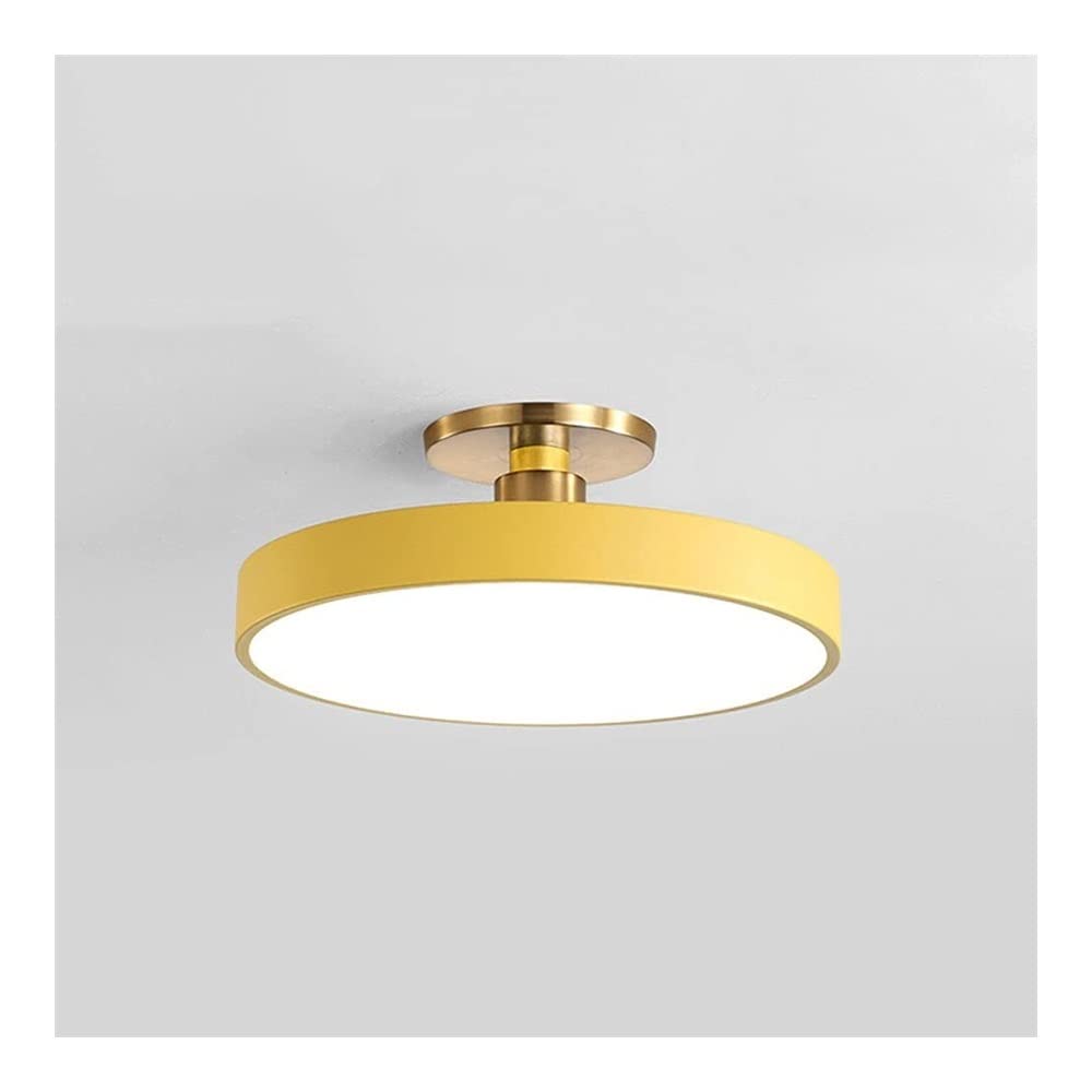 Ceiling Lighting Nordic Modern LED Ceiling Light Ultra-Thin Floor Ceiling Lamp 3-color Dimmable Semi Flush Mount Round Close to The Ceiling Light Fixture for Cloakroom Corridor Bedroom Kitchen ( Color