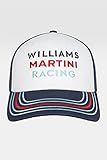 Williams Martini Racing Stick vorne