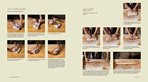 image for Ten Speed Press Mastering Bread: The Art and Practice of Handmade Sour