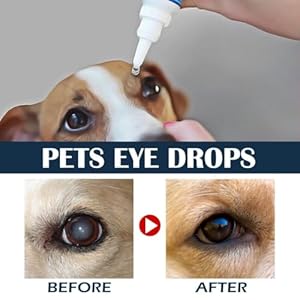 Cataract-Drops-for-Pets-GentleSafe-Dog-Eye-Drops-Improve-Eye-Vision-and-Cataracts-for-Comfort-Reliever-Eye-Itchy-Dogs-Cats-Horses-Rabbit-2-Pcs-10ML-pat02 - Cucciolini Doodles   Cataract-Drops-for-Pets-GentleSafe-Dog-Eye-Drops-Improve-Eye-Vision-and-Cataracts-for-Comfort-Reliever-Eye-Itchy-Dogs-Cats-Horses-Rabbit-2-Pcs-10ML-pat02