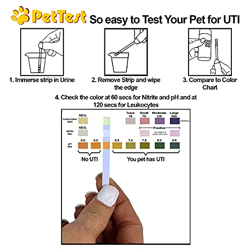 UTI Test Strips for Dogs & Cats detect a Urinary Tract Infection in Your Pet. Use PetTest Cat & Dog UTI Test Strips at… - Image 5
