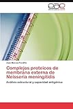  Complejos Proteicos de Membrana Externa de Neisseria Meningitidis: Análisis estructural y capacidad antigénica