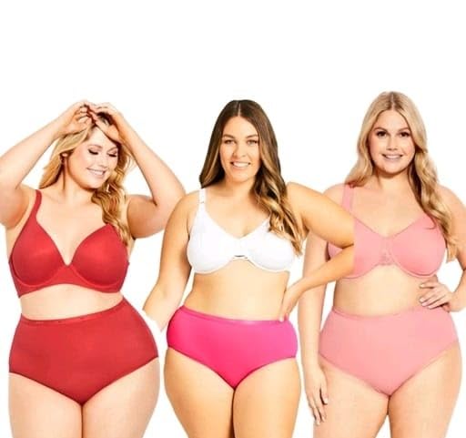 silvora Women's Cotton Blend High-Waist Panties Pack of 3 | Comfortable Stretchable Underwear for Everyday Wear-picture-17