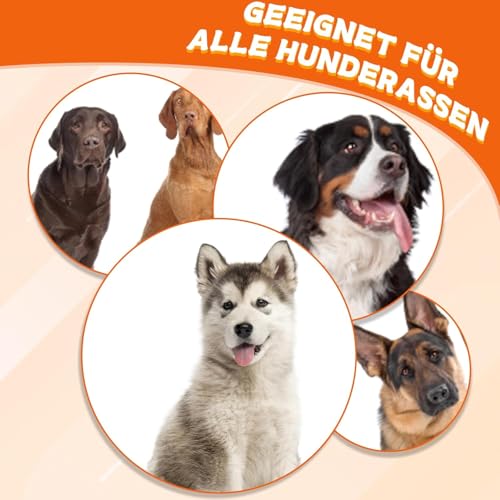 YceLon 3 Stück Hundeball Unzerstörbar, Hunde Ball Unkaputtbar für Aggressive Kauer, Schwimmender Gummiball für Pool/Strand, Ø 6,3cm – Hundespielzeug für Mittelgroße & Kleine Hunde