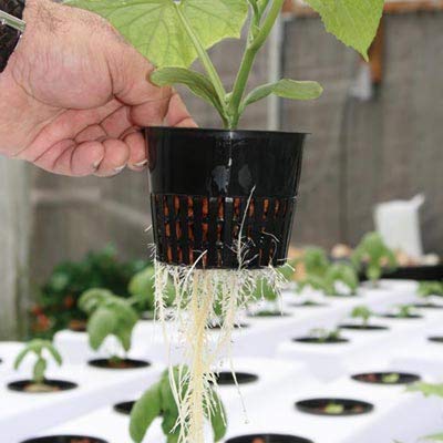 Snapklik.com : Tectsia 4 Inch Net Cups (25 Pack), Net Pots For ...