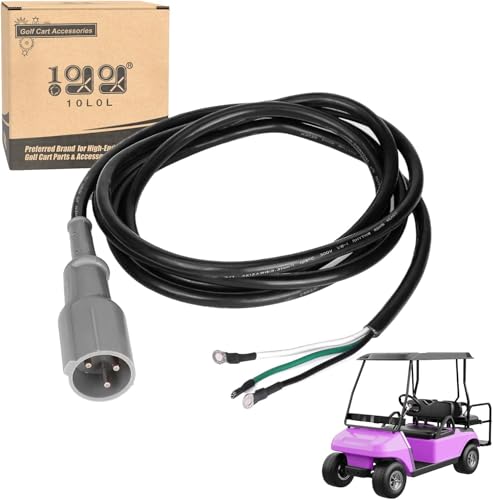 Chargeur de voiturette de golf 48V rapide avec câble de 120 pouces et prise 3 broches