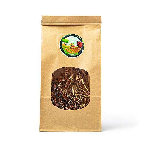 Live Ladybugs - Good Bugs for Garden - Ladybugs - Pre-Fed Hippodamia Convergens - Live Ladybugs - for Aphid Control and Other Insects - Guaranteed Live Delivery (1500)