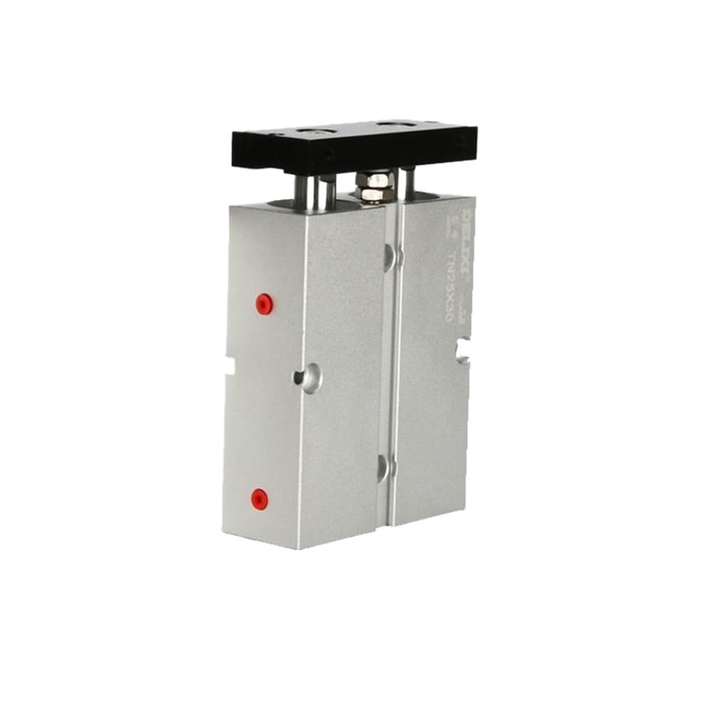 Cylindre pneumatique double tige TN10 avec guidage linéaire anti-torsion